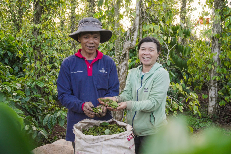 Ngành nông nghiệp ứng dụng sản phẩm công nghệ sinh học nhằm giảm phụ thuộc hóa chất độc hại.