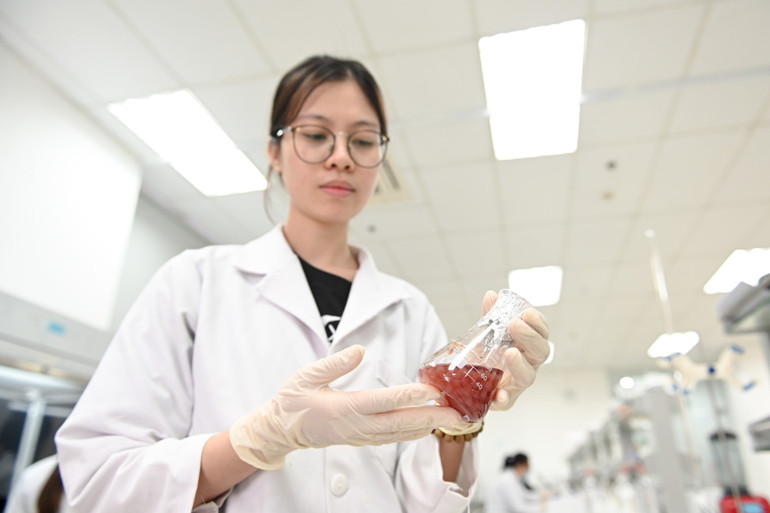 Phát triển nguồn nhân lực là khâu then chốt để bảo đảm năng lực nội sinh quốc gia. (Ảnh THẾ ĐẠI)