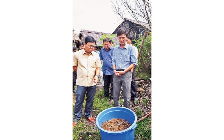 Bí thư Tỉnh ủy Cà Mau Nguyễn Tiến Hải (bìa trái) trong một lần thực tế thu hoạch tôm sinh thái ở xã Viên An, huyện Ngọc Hiển.