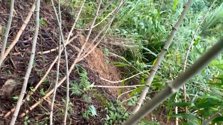 Các vết nứt núi mới xuất hiện, gia tăng nguy cơ sạt lở, đe dọa trực tiếp đến an toàn nhà ở và tính mạng người dân khu dân cư tổ 4, thôn Trà Linh, xã Hương Trà, huyện Trà Bồng.