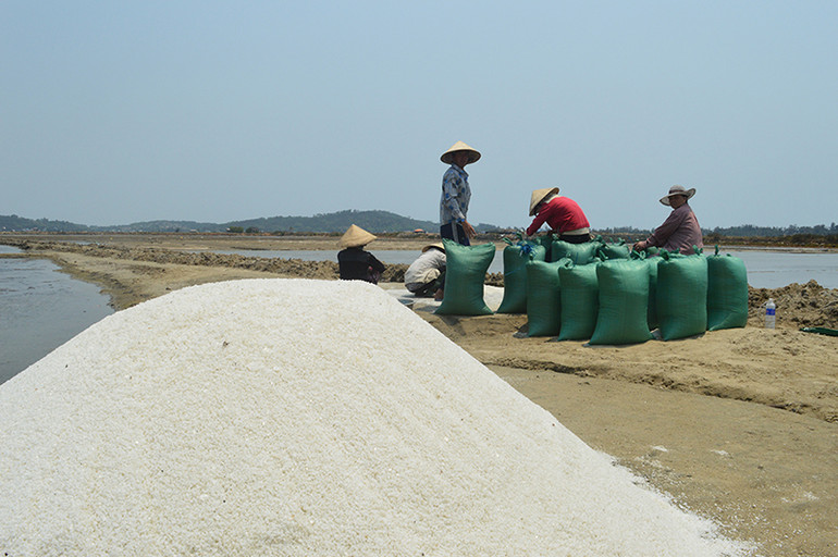 Theo Sở Nông nghiệp và Nông thôn tỉnh Quảng Ngãi, việc cải tạo, nâng cấp hạ tầng đồng muối Sa Huỳnh là hết sức cần thiết, góp phần phát triển đời sống của diêm dân.