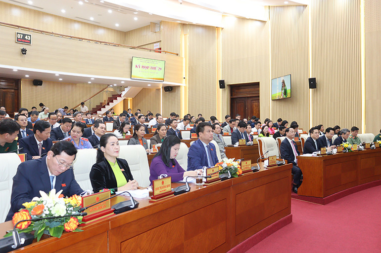 Các đại biểu tham dự kỳ họp. Các đại biểu tham dự kỳ họp.