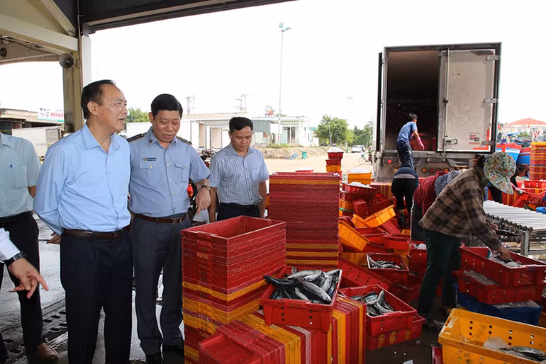 Lãnh đạo Bộ Nông nghiệp và Phát triển nông thôn kiểm tra công tác chống khai thác IUU tại Quảng Ngãi.