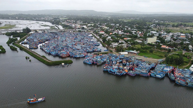 Việc nâng cấp, mở rộng khu neo đậu tránh trú bão kết hợp cảng cá Tịnh Hòa là hết sức cấp thiết nhằm hình thành trung tâm dịch vụ hậu cần nghề cá và khu vực neo đậu tránh trú bão cấp vùng.