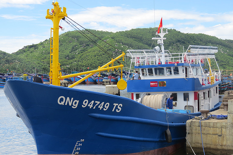 Tỉnh Quảng Ngãi có 44 tàu cá 67 hoạt động cầm chừng, không hiệu quả, không trả được nợ gốc/lãi theo cam kết.