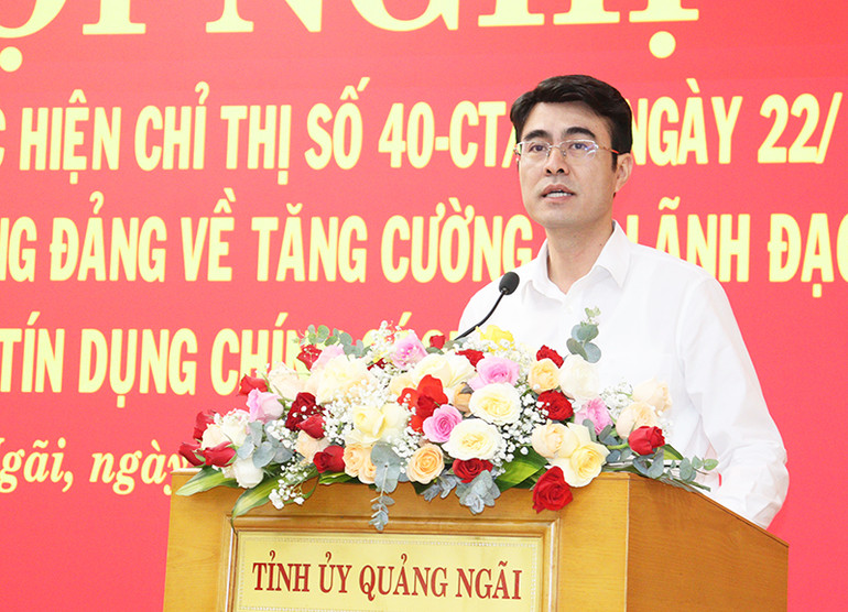 Đồng chí Nguyễn Đức Hải, Phó Tổng Giám đốc Ngân hàng chính sách Việt Nam phát biểu tại Hội nghị.