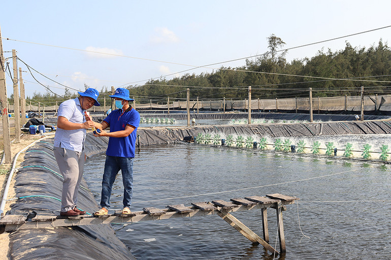 Quảng Ngãi yêu cầu các hộ nuôi chủ động thực hiện các biện pháp phòng, chống dịch bệnh trên thủy sản nuôi. Quảng Ngãi yêu cầu các hộ nuôi chủ động thực hiện các biện pháp phòng, chống dịch bệnh trên thủy sản nuôi.