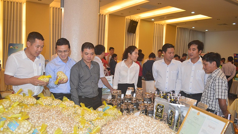 Hành, tỏi Lý Sơn, sản phẩm OCOP đặc trưng của tỉnh Quảng Ngãi.