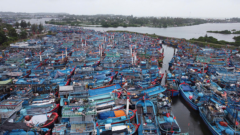 Cảng neo trú tàu thuyền Tịnh Hòa, thành phố Quảng Ngãi (Quảng Ngãi) thường xuyên quá tải tàu cá neo đậu. Cảng neo trú tàu thuyền Tịnh Hòa, thành phố Quảng Ngãi (Quảng Ngãi) thường xuyên quá tải tàu cá neo đậu.