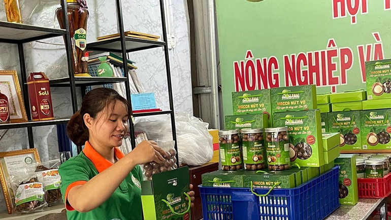 Nhiều nông sản vùng miền núi Quảng Ngãi được công nhận OCOP.