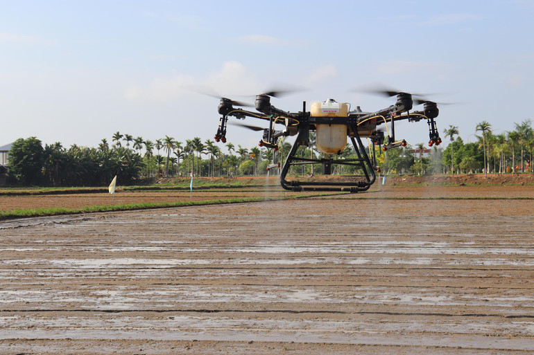 Ứng dụng thiết bị máy bay không người lái để phun thuốc bảo vệ thực vật trên cây lúa tại huyện Mộ Đức. Ứng dụng thiết bị máy bay không người lái để phun thuốc bảo vệ thực vật trên cây lúa tại huyện Mộ Đức.