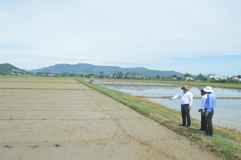 Dồn điền đổi thửa đất sản xuất nông nghiệp trên địa bàn Quảng Ngãi được triển khai rộng khắp các địa phương, góp phần quan trọng trong việc thực hiện đề án tái cơ cấu ngành nông nghiệp theo hướng nâng cao giá trị gia tăng và phát triển bền vững.