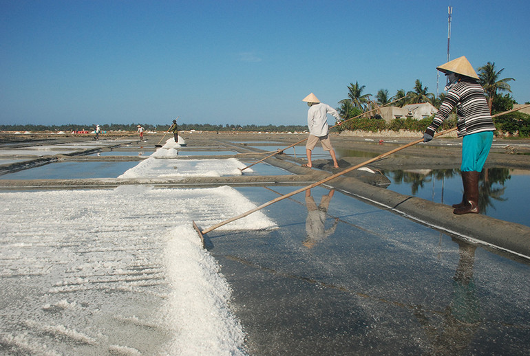 Thị xã Đức Phổ đang triển khai dự án bảo tồn đồng muối truyền thống, phát huy văn hóa Sa Huỳnh, góp phần phát triển du lịch cộng đồng. Thị xã Đức Phổ đang triển khai dự án bảo tồn đồng muối truyền thống, phát huy văn hóa Sa Huỳnh, góp phần phát triển du lịch cộng đồng.