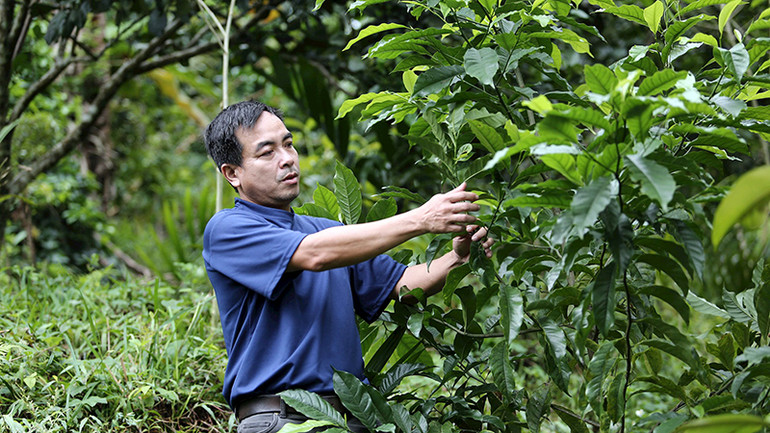 Ước mơ xanh của anh Nguyễn Thanh Bình đã thành hiện thực.