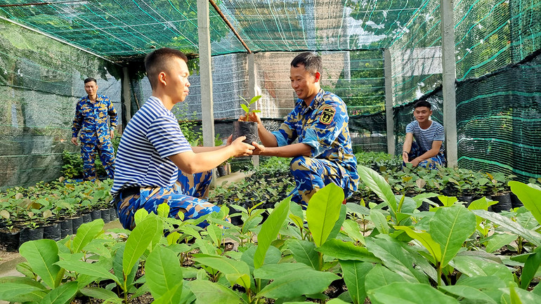 Vườn ươm cây giống trên đảo Song Tử Tây.