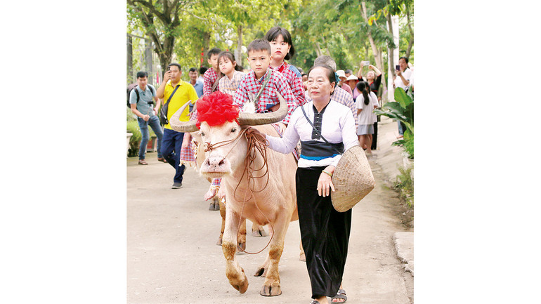 Tái hiện hình ảnh trẻ chăn trâu tại nghi lễ Tết Xíp xí. Tái hiện hình ảnh trẻ chăn trâu tại nghi lễ Tết Xíp xí.