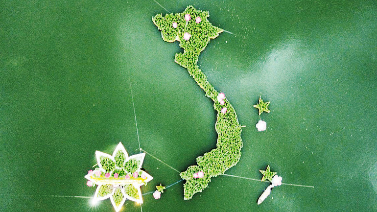 Bản đồ từ sen lớn nhất Việt Nam.