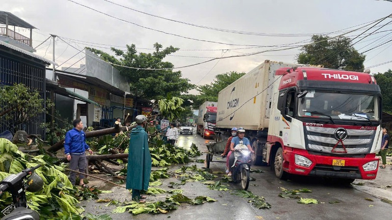 Dọn dẹp cây cối ngã đổ trên Quốc lộ 24 để giao thông được thông suốt.