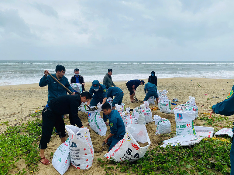 Chính quyền xã An Phú, thành phố Quảng Ngãi huy động các lực lượng dùng bao cát khắc phục tạm thời bờ biển bị sạt lở.