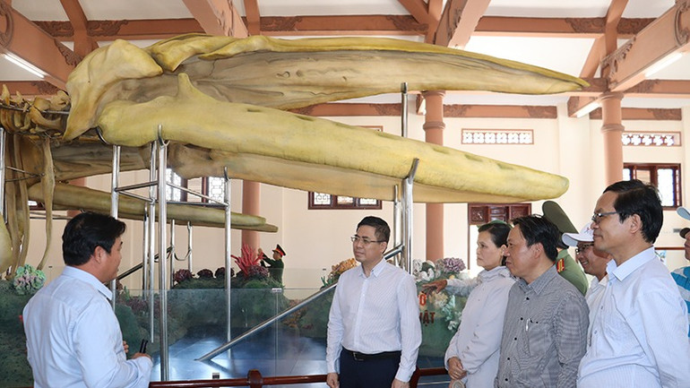 Chủ tịch Ủy ban nhân dân tỉnh Quảng Ngãi Nguyễn Hoàng Giang tìm hiểu giá trị văn hóa của 2 bộ xương cá Ông (cá Voi) được phục dựng, trưng bày tại Lăng Tân, huyện đảo Lý Sơn.