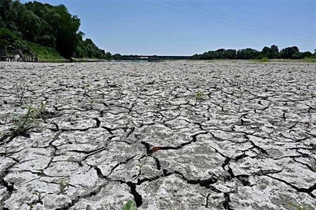 Lòng sông cạn khô do hạn hán tại Occiobello, Italy. Ảnh: AFP/TTXVN