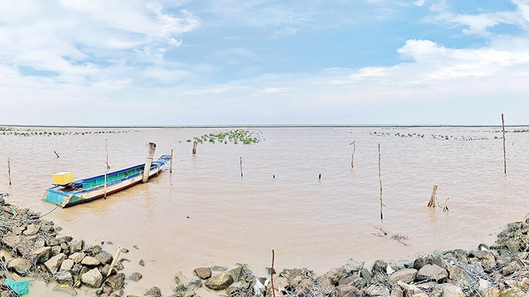 Đợt triều cường lên cao gây ảnh hưởng mô hình thí điểm trồng cây tái tạo rừng phòng hộ tại ấp Tiểu Dừa, xã Khánh Tiến, huyện U Minh. Đợt triều cường lên cao gây ảnh hưởng mô hình thí điểm trồng cây tái tạo rừng phòng hộ tại ấp Tiểu Dừa, xã Khánh Tiến, huyện U Minh.