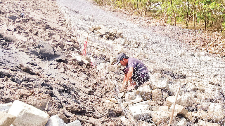 Khẩn trương thi công kè chân đê, nơi không còn rừng phòng hộ, đoạn Đá Bạc-Kinh Mới, xã Khánh Bình Tây, huyện Trần Văn Thời. Khẩn trương thi công kè chân đê, nơi không còn rừng phòng hộ, đoạn Đá Bạc-Kinh Mới, xã Khánh Bình Tây, huyện Trần Văn Thời.