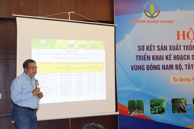 Lãnh đạo Cục Trồng trọt báo cáo tình hình sản xuất trồng trọt vụ hè thu, vụ mùa 2023; triển khai kế hoạch sản xuất vụ đông xuân 2023-2024 vùng Đông Nam Bộ, Tây Nguyên và duyên hải Nam Trung Bộ.