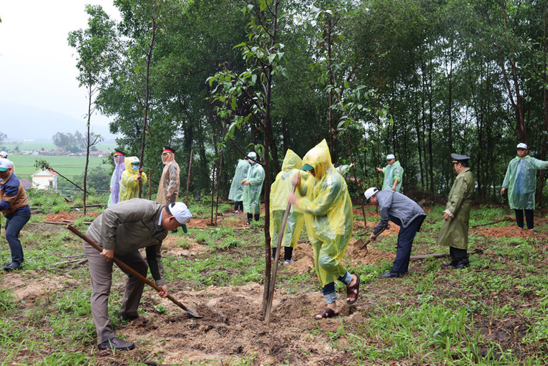 Phong trào trồng cây xanh trên địa bàn tỉnh Quảng Ngãi luôn được cán bộ và nhân dân tích cực tham gia, góp phần cải thiện môi trường sinh thái, làm đẹp thêm cảnh quan thiên nhiên.