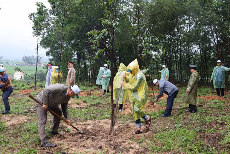 Phong trào trồng cây xanh trên địa bàn tỉnh Quảng Ngãi luôn được cán bộ và nhân dân tích cực tham gia, góp phần cải thiện môi trường sinh thái, làm đẹp thêm cảnh quan thiên nhiên. Phong trào trồng cây xanh trên địa bàn tỉnh Quảng Ngãi luôn được cán bộ và nhân dân tích cực tham gia, góp phần cải thiện môi trường sinh thái, làm đẹp thêm cảnh quan thiên nhiên.