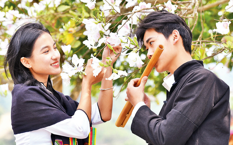 Hình ảnh hoa ban hiện diện trong đời sống sinh hoạt và lời ca tiếng hát của người dân Tây Bắc.