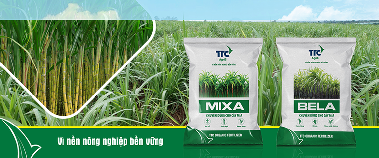 TTC AgriS đầu tư Phân hữu cơ vi sinh để cải tạo và tăng độ phì nhiêu cho đất. Đối với các diện tích đất triền đồi, nhiều đá, khó áp dụng cơ giới, Công ty đưa ra phương pháp trồng mía rãnh để người nông dân bảo đảm năng suất.
