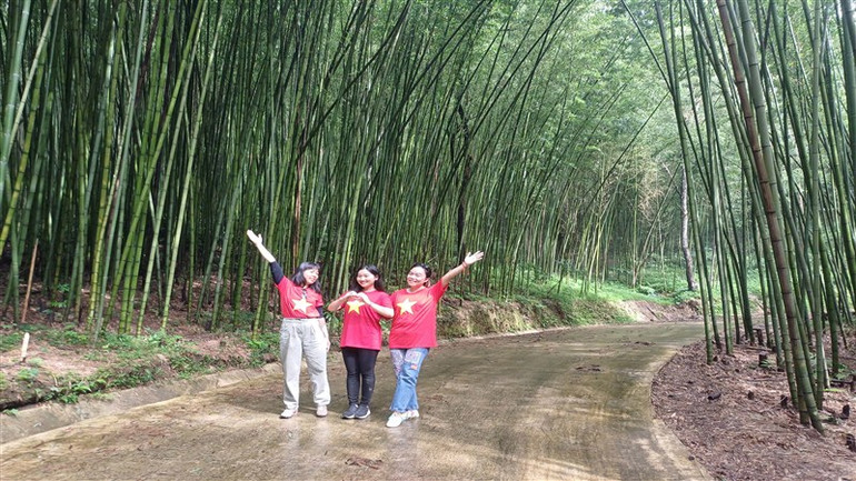 Du khách tham quan rừng trúc.