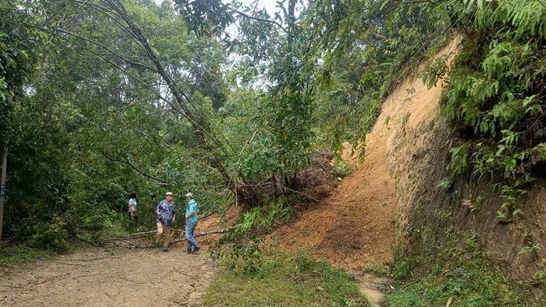 Đường giao thông ở xã Trọng Con, huyện Thạch An, tỉnh Cao Bằng bị sạt lở. Đường giao thông ở xã Trọng Con, huyện Thạch An, tỉnh Cao Bằng bị sạt lở.