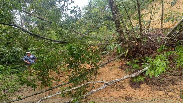 Đường giao thông ở xã Trọng Con, huyện Thạch An, tỉnh Cao Bằng bị sạt lở.