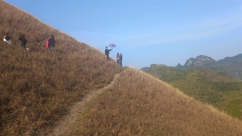 Một vạt cỏ cháy mang đầy sắc màu mộng mị.