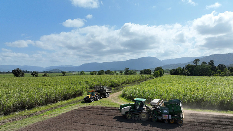 Trong tầm nhìn thúc đẩy nền kinh tế nông nghiệp bền vững đến năm 2025, TTC AgriS đặt mục tiêu mở rộng diện tích vùng nguyên liệu tại Australia lên 20.000ha, ứng dụng công nghệ canh tác số thông qua nền tảng quản trị Farmer Relationship Management
