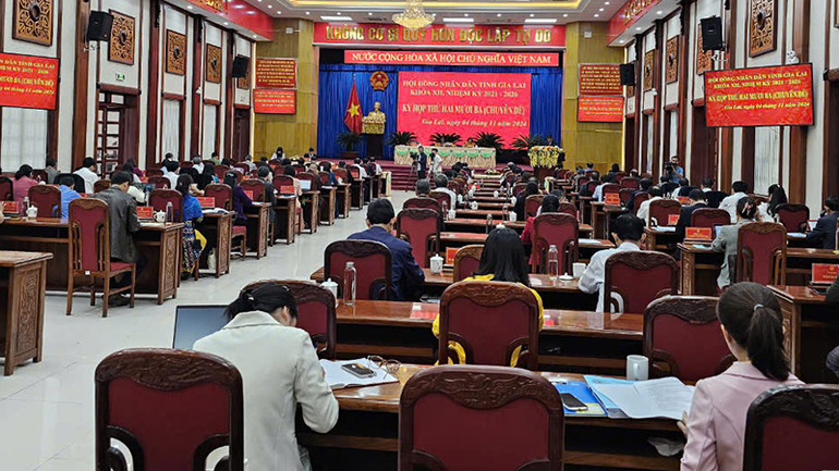 Quang cảnh kỳ họp. Quang cảnh kỳ họp.