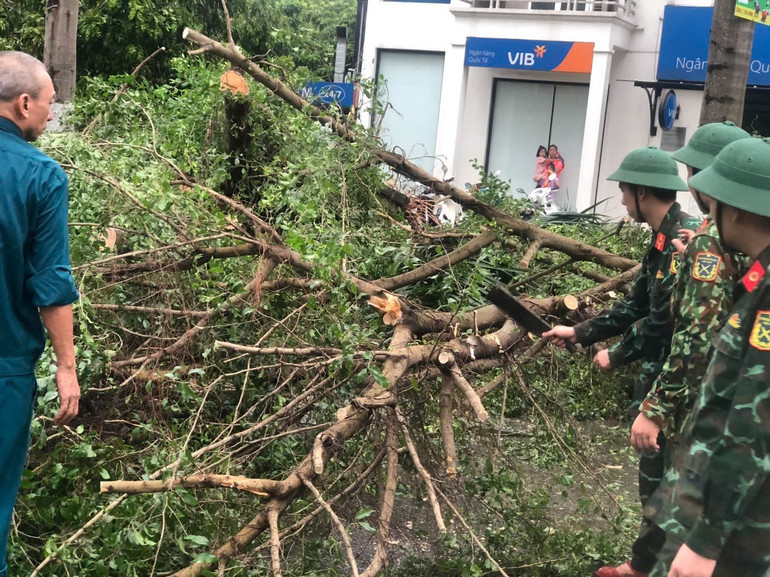 Tại phường Phúc La, quận Hà Đông, ngay từ lúc 4 rưỡi sáng 8/9 sau khi bão đi qua, phường đã huy động 100% quân số, gồm toàn bộ cán bộ công chức, lực lượng an ninh cơ sở, công an phường, dân quân tự vệ. Cùng tham gia có các cán bộ, chiến sĩ, học viên của Học viện Quân y.