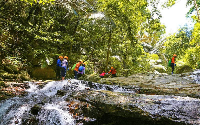 Đi dưới tán rừng Động Châu.