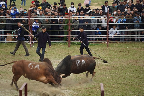 Tấn công quyết liệt.
