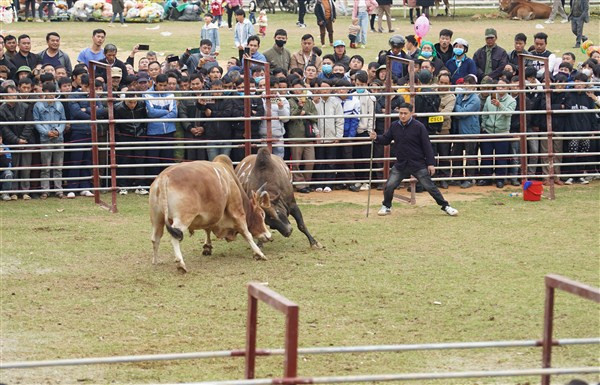 So kè quyết liệt, không chịu thua kém.