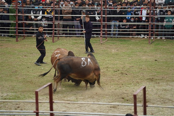 Một pha tấn công "áp sát".