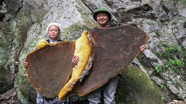 Du khách thích thú bên những tấm sáp ong có kích thước lớn.