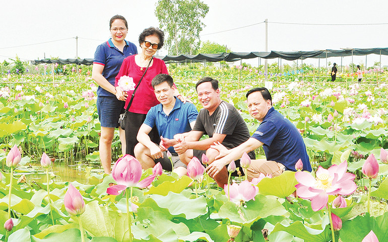 Du khách tham quan đầm sen Vân Đài, huyện Hưng Hà, tỉnh Thái Bình. Du khách tham quan đầm sen Vân Đài, huyện Hưng Hà, tỉnh Thái Bình.