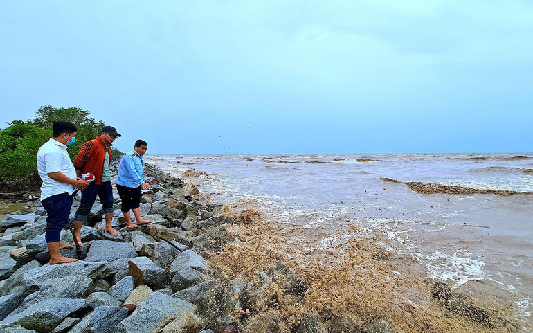 Mô hình kè đá khan bảo vệ đai rừng phòng hộ khu vực T29 (huyện U Minh) trước sóng dữ. Mô hình kè đá khan bảo vệ đai rừng phòng hộ khu vực T29 (huyện U Minh) trước sóng dữ.