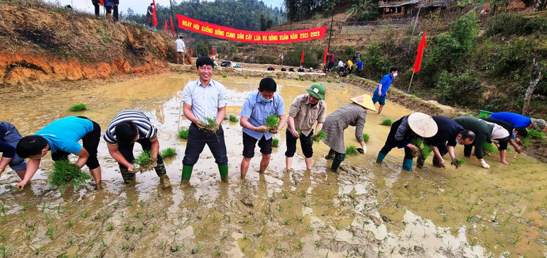 Kỹ sư Phạm Tiến Lâm đi cấy lúa tại Púng Luông trong chiến dịch "Ngày cuối tuần cùng dân" do Huyện ủy Mù Cang Chải phát động và duy trì từ nhiều năm qua.