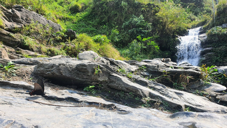 Chốn hành du thưa vắng dấu chân người.