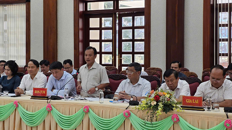 Các đại biểu tham gia đóng góp ý kiến tại Hội nghị.