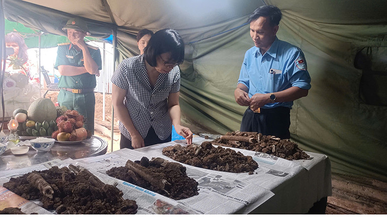 Ban Chỉ đạo 515 tỉnh Gia Lai kiểm tra công tác tìm kiếm, quy tập hài cốt liệt sĩ tại hiện trường.